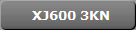 XJ600 3KN