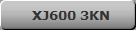 XJ600 3KN
